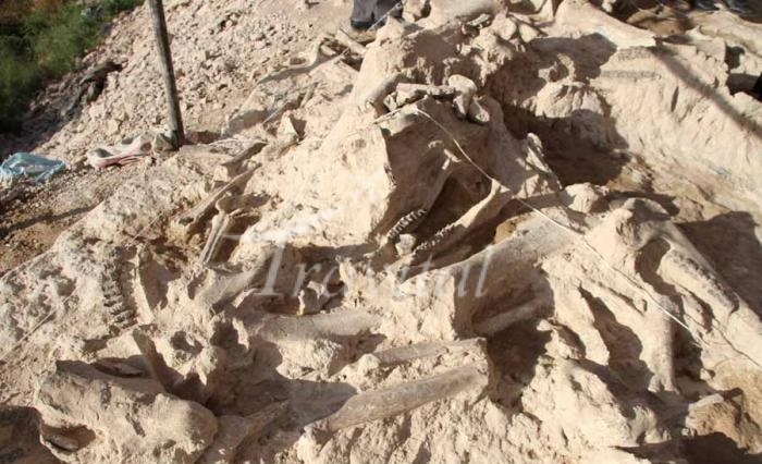Fossil Site of Maraghe – Maragheh