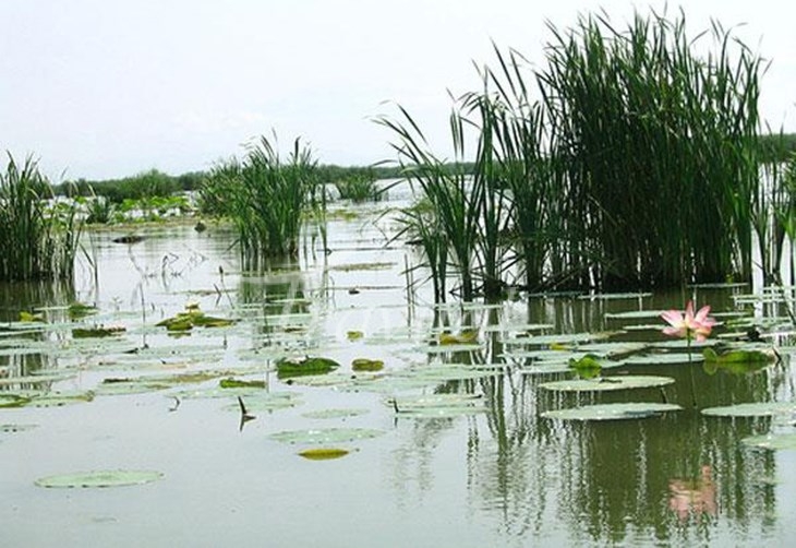Anzali Wetland – Bandar-e Anzali