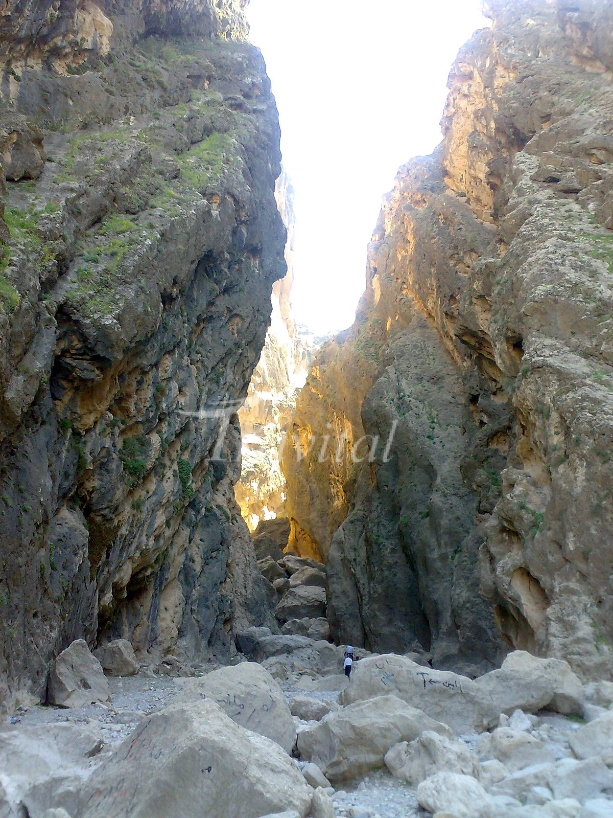 Bahram-e-Choobin Gorge – Dareh Shahr