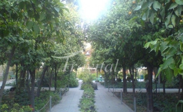 Chehel Tan Garden – Shiraz