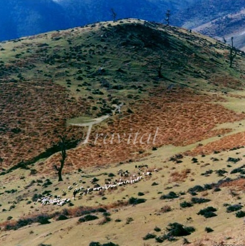Bardeh Nakhsh Mountain – Eazeh