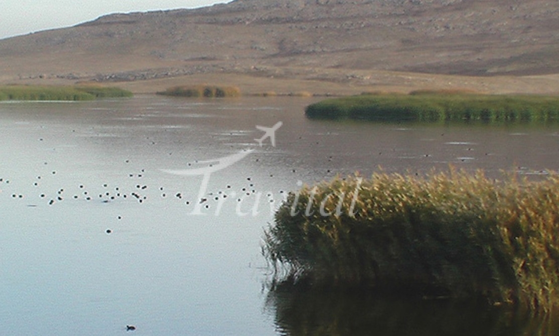 Hamoon Jazmoorian Lake – Kerman