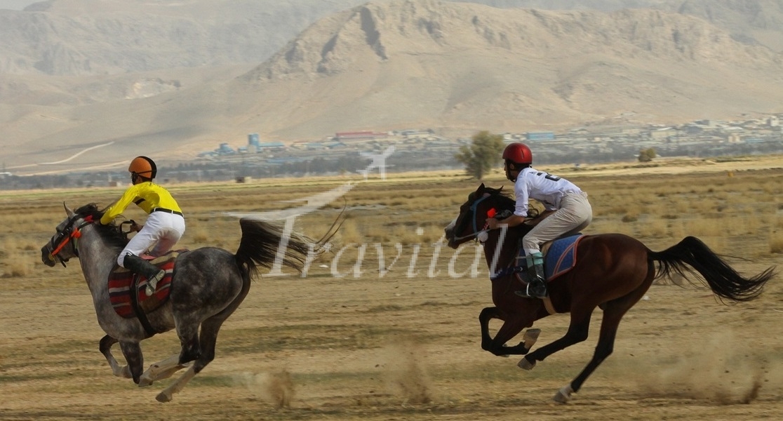 Horse Riding Places and Polo Stick Yards – Shahrekord