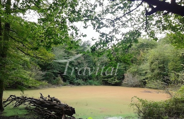Kandochal Wetland – Chalus