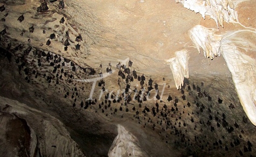 Khofash Cave – Dehloran