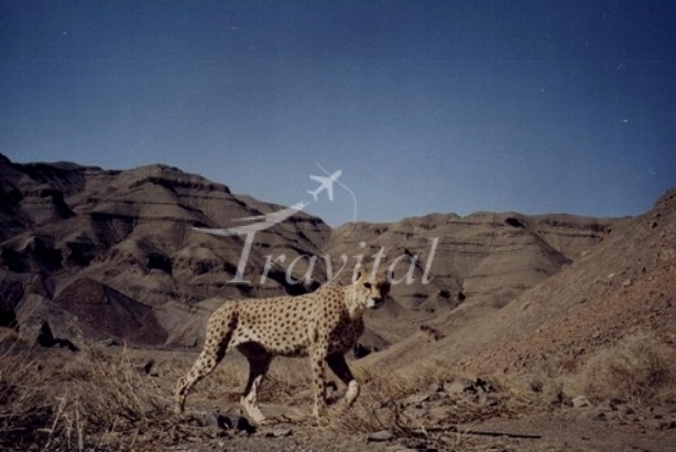 Khojir and Sorkheh Hesar National Park – Tehran