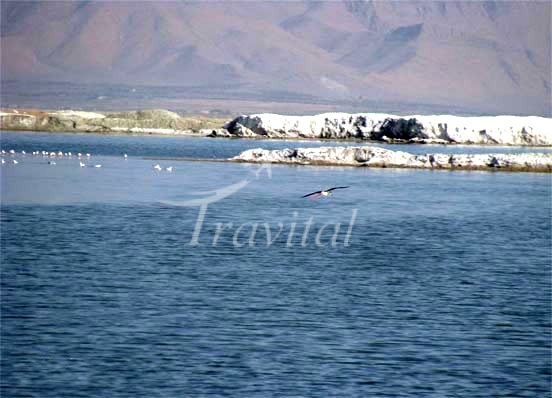 Miqan Lake – Arak