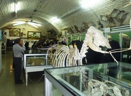 Natural Science Museum – Yazd