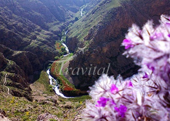 Palang Darreh Protected Area – Qom