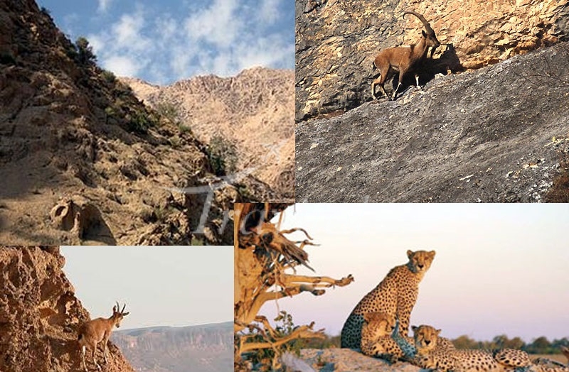 Protected Wildlife Zones and Hunting Sites – Kermanshah