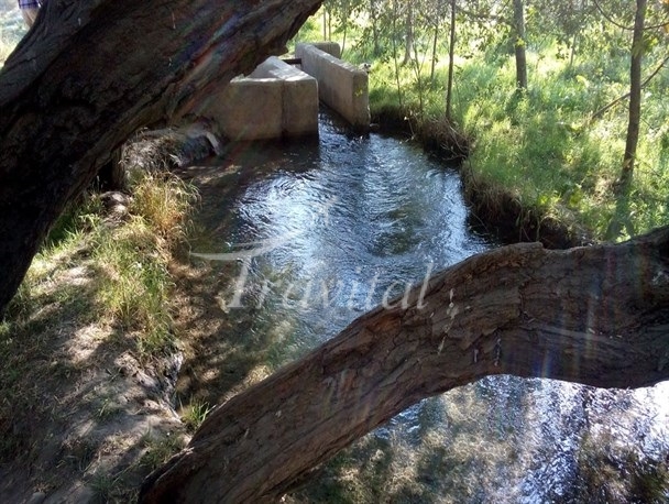 Qadamgah Mineral Water Spring – Eqlid