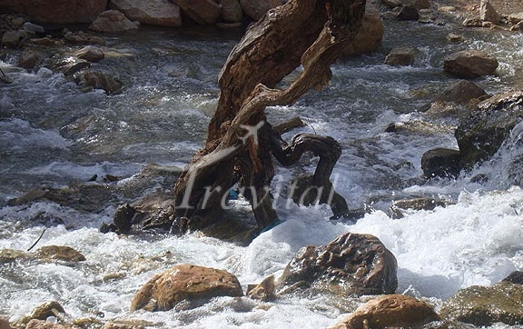 Seimareh River – Khorram Abad