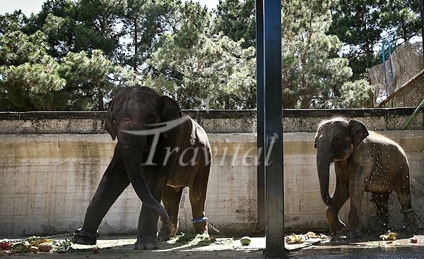 Tehran Zoo – Tehran