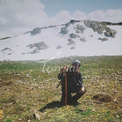 Zereshk Mountain – Gorgan