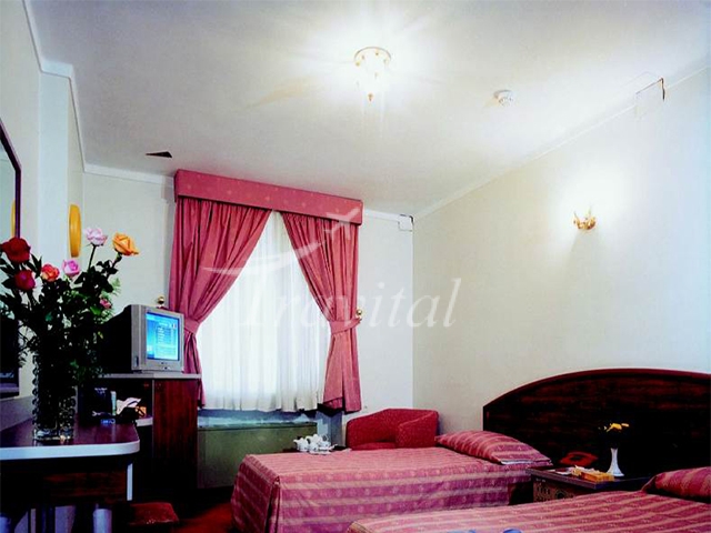 Parsian Hotel Shiraz 6