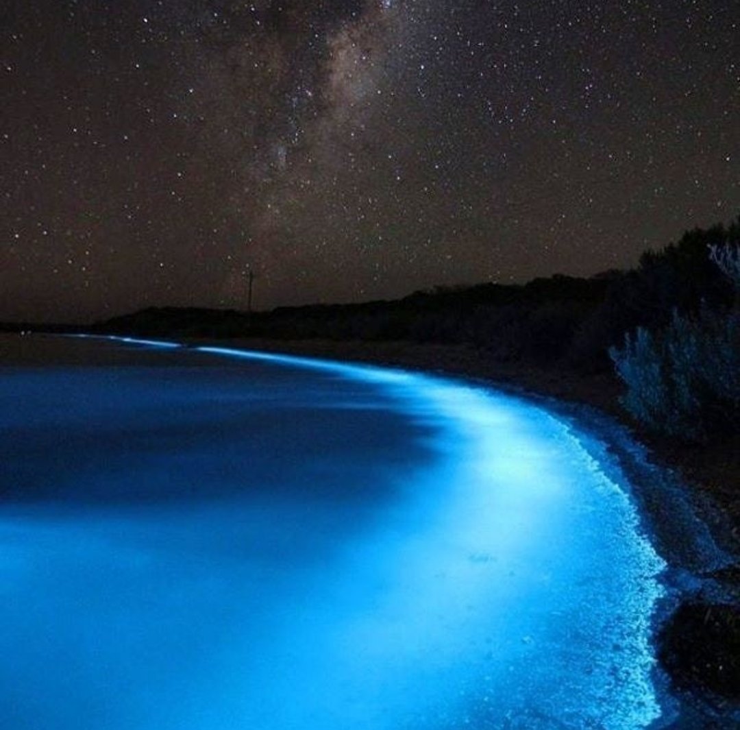 Luminescent beaches in Chabahar Luminescent beaches in Chabahar