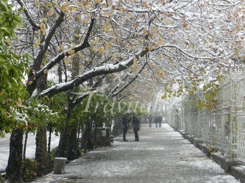 shiraz weather
