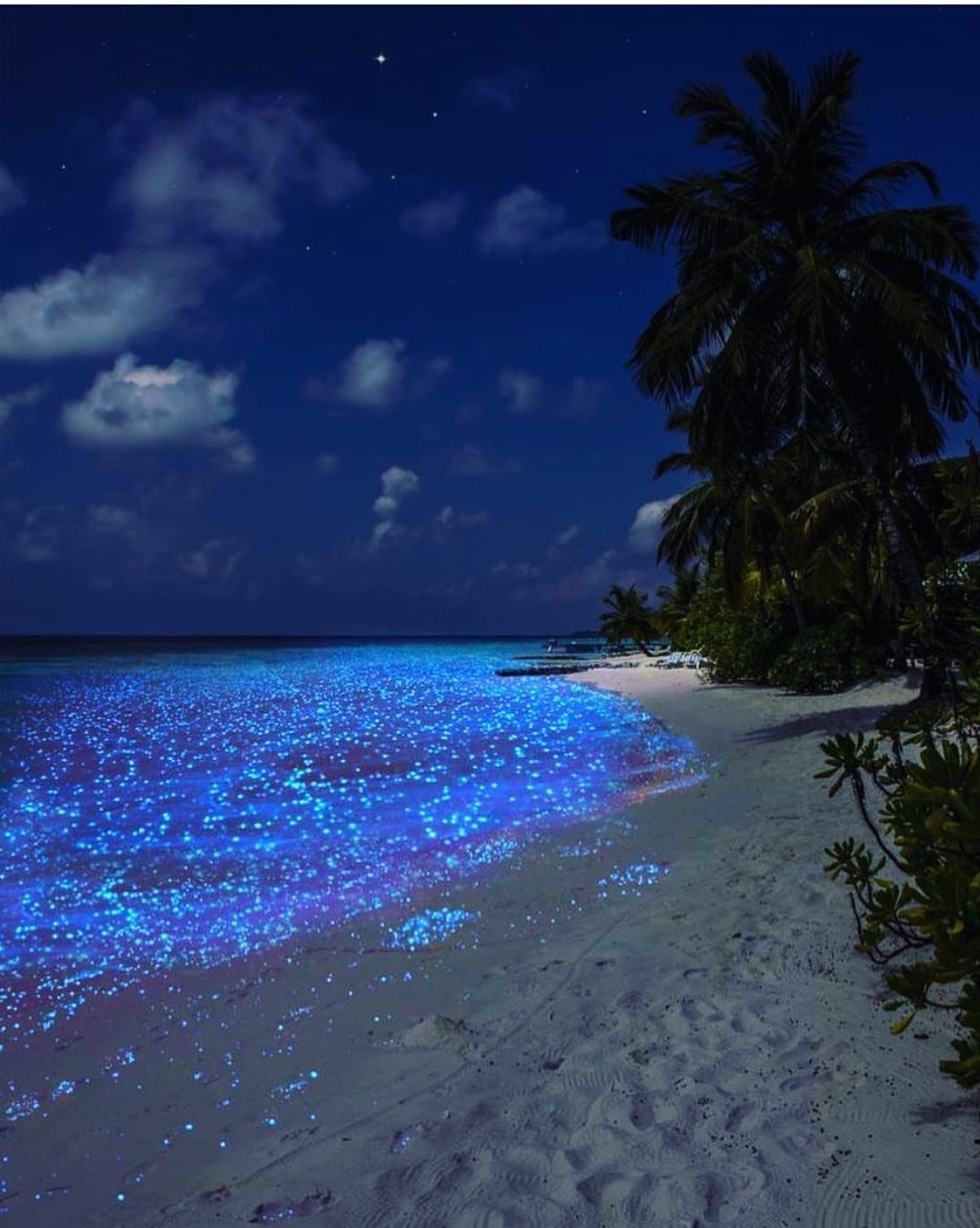 The glowing Vaadhoo beaches in Maldives The glowing Vaadhoo beaches in Maldives