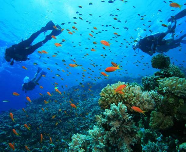Diving in Kish